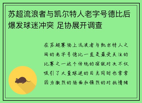 苏超流浪者与凯尔特人老字号德比后爆发球迷冲突 足协展开调查 苏超流浪者与凯尔特人老字号德比后爆发球迷冲突 足协展开调查